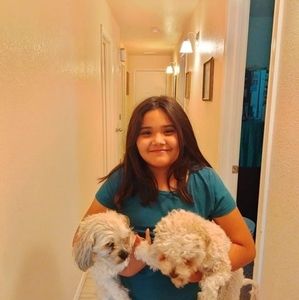 Meet your Posher, Cesar